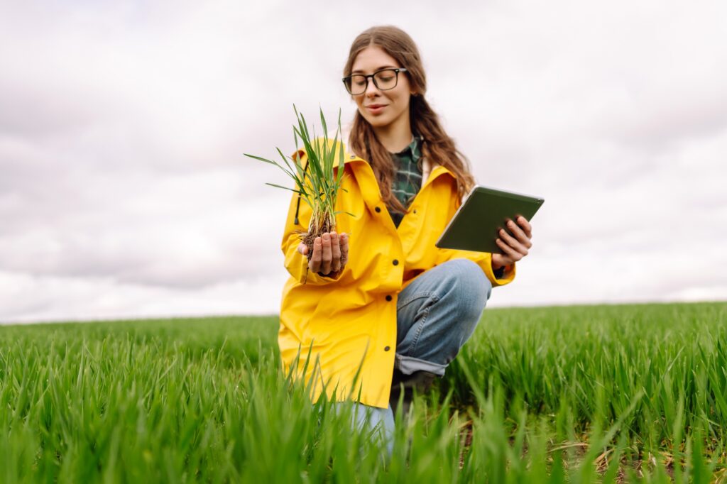 A young farmer woman in a green field, intently using a tablet. The concept of technology, gardening